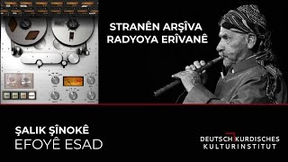 EFOYÊ ESAD - ŞALIK ŞÎNOKÊ Resimi