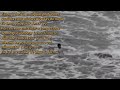 Portishead - Deep Water (legendado/tradução)