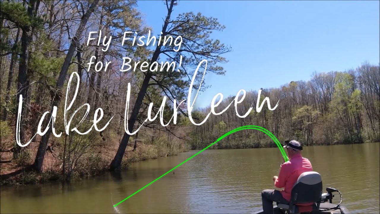 Fishing for Bream in Lake Lurleen with a Bobber & Cricketon a fly  rod!?!? FUN!! 