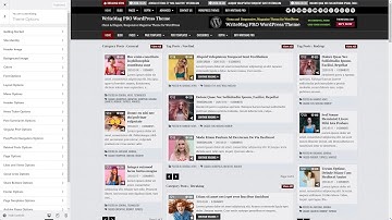 Customizer Theme Options - WriteMag PRO WordPress Theme