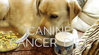 Canine Cancer Diet