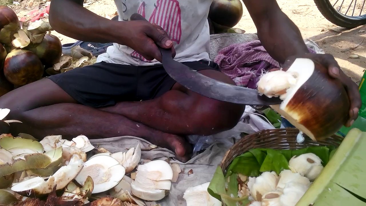 street food asia netflix wiki Asian Street Food l Unique Palmyra Palm l Taal Saas l Pallet Shells