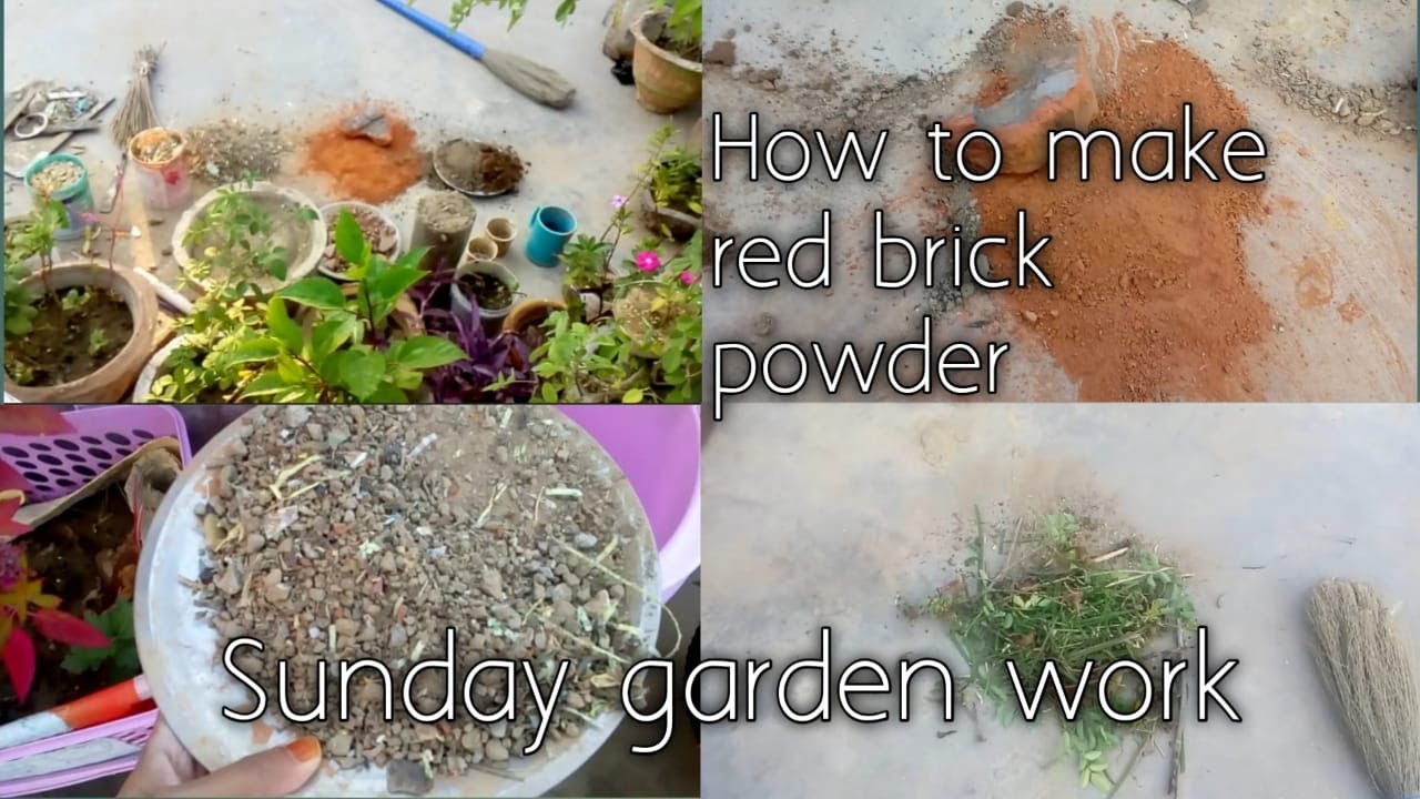 Sunday garden work how to make red brick powder at home आज गार्डन