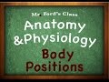 Anatomy and Physiology Quiz