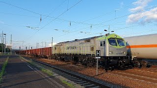 Zugverkehr Am Bahnhof Ber Terminal 5 Baureihe 250 Captrain & Holzroller Baureihe 142