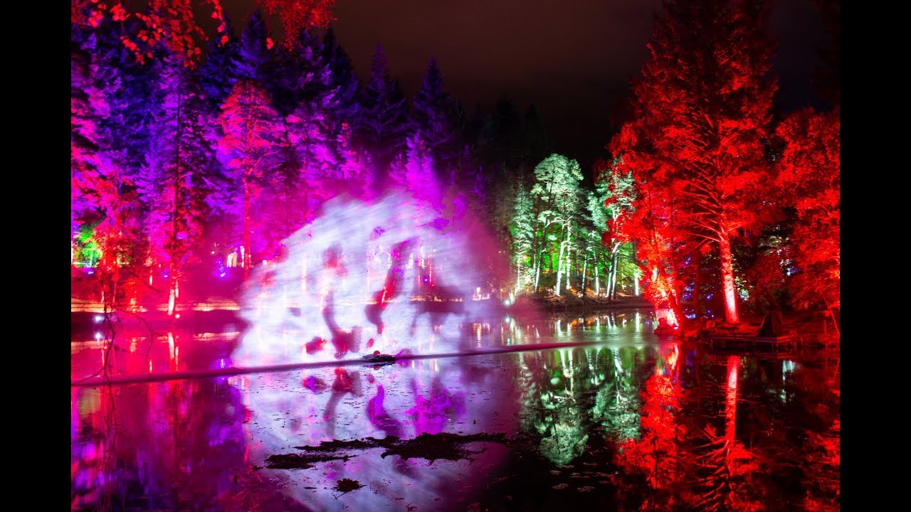 2018 Enchanted Forest sound & light show "Of The Wild" in Faskally Wood