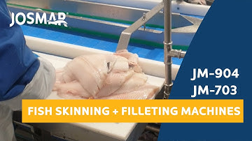 JOSMAR: Flatfish filleting & fillet skinning line