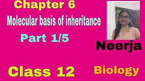 Biology,class 12, chapter 6,Translation and lac operon,part 5/5 ,by Neerja,with MCQ test