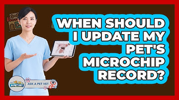 When Should I Update My Pet