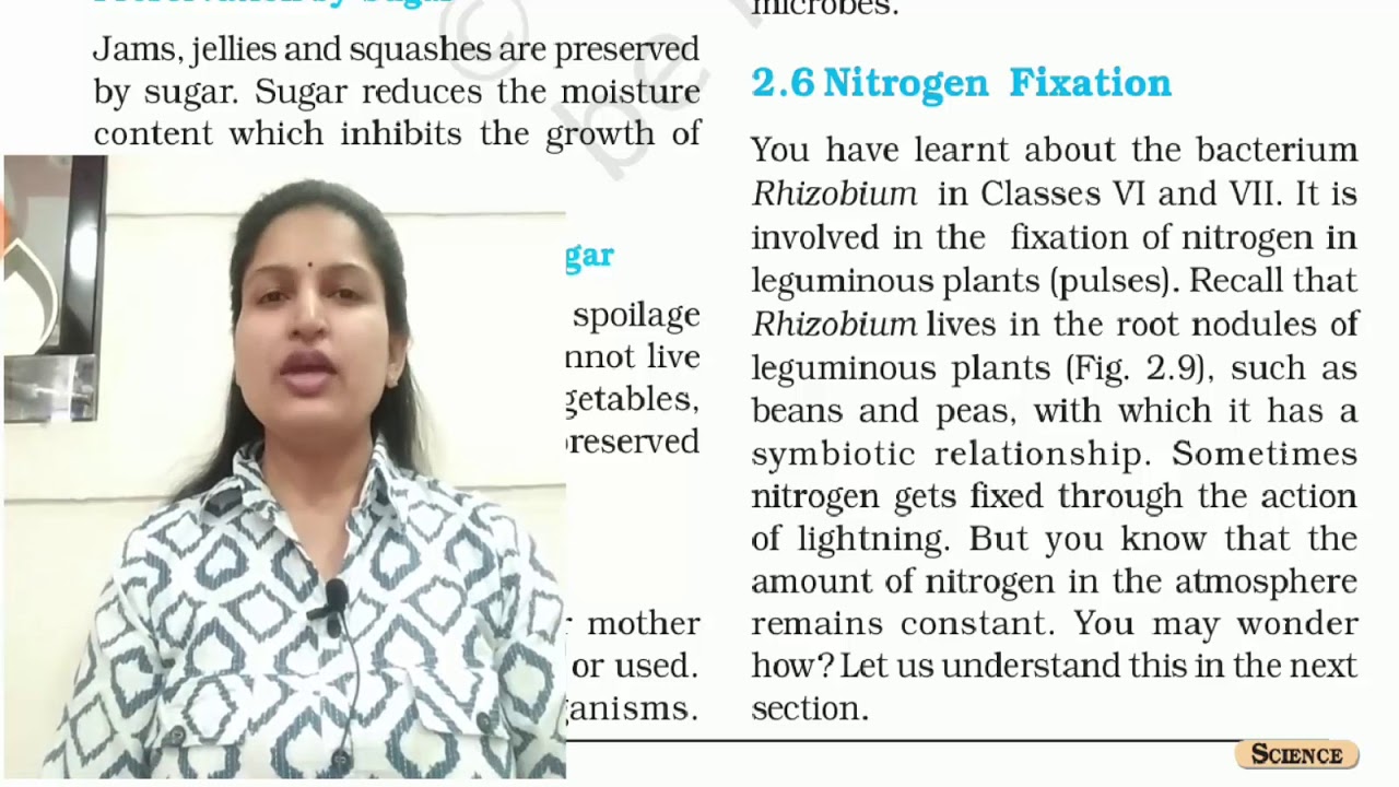 Nitrogen fixation class 8 science chapter 2 NCERT YouTube