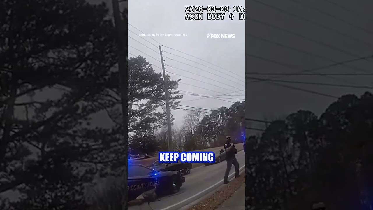 POULTRY PURSUIT: Officers in Georgia respond to a 'plucky' situation