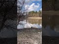 Топ 🔝 погода, а только март месяц 😍🎣❤️ #рыбалканаозере #природа