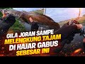 MENGERIKAN‼️ DI SPOT INI IKAN NYA MASIH DI ATAS 2 KG UP ‼️