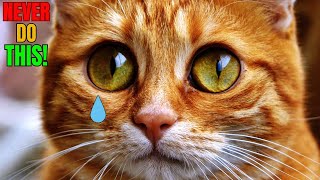 10 THINGS A CAT WILL NEVER FORGIVE!!! 😿