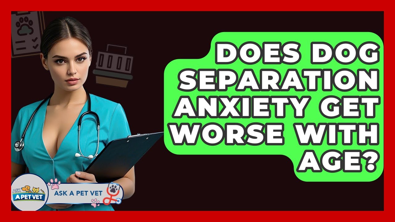 Does Dog Separation Anxiety Get Worse With Age? - Ask A Pet Vet