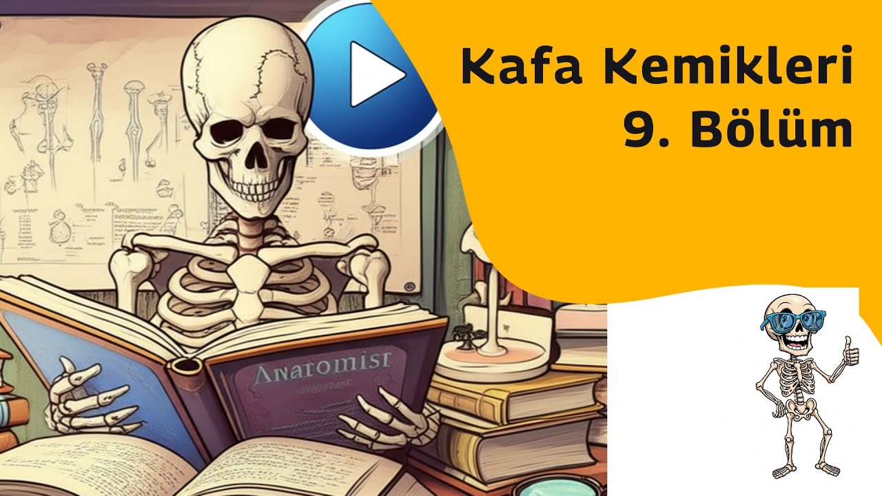 Kafa Kemikleri Bölüm 9 (Os Temporale) [Anatomi Pratik]