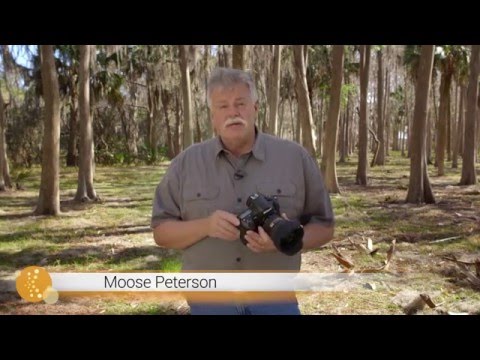 Depth of Field