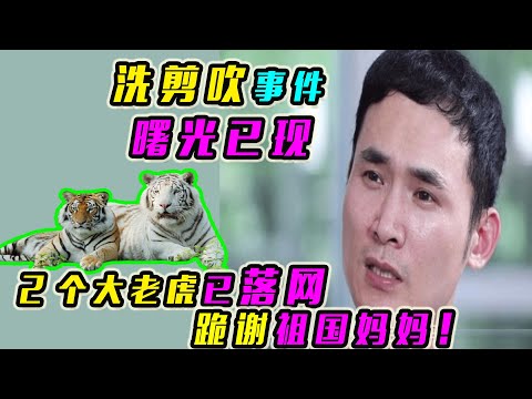 洗剪吹事件曙光已现：官方通报 2个大人物已落网，跪谢祖国妈妈！