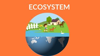 What is an ecosystem | Ecosystem video for kids | Ecosystem Types |