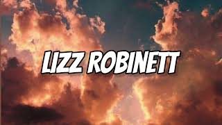 Hide And Seek - Lizz Robinett 