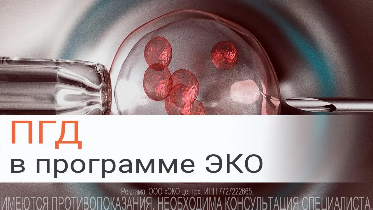 ПГД (ПГТ) в программе ЭКО