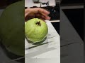 Satisfying Guava #bread #fruitrees #fruit #fruitrees