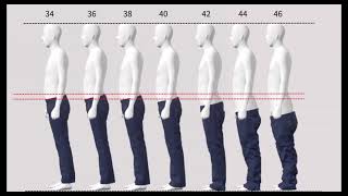 Celebrity VTO - Virtual Try-On | TG3D Studio Wealth