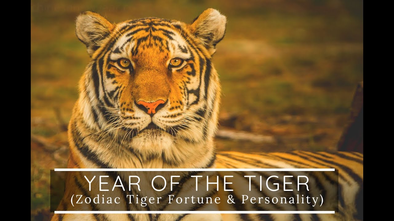 LUNAR YEAR OF THE TIGER 2022