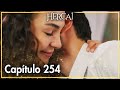 Hercai  captulo 254