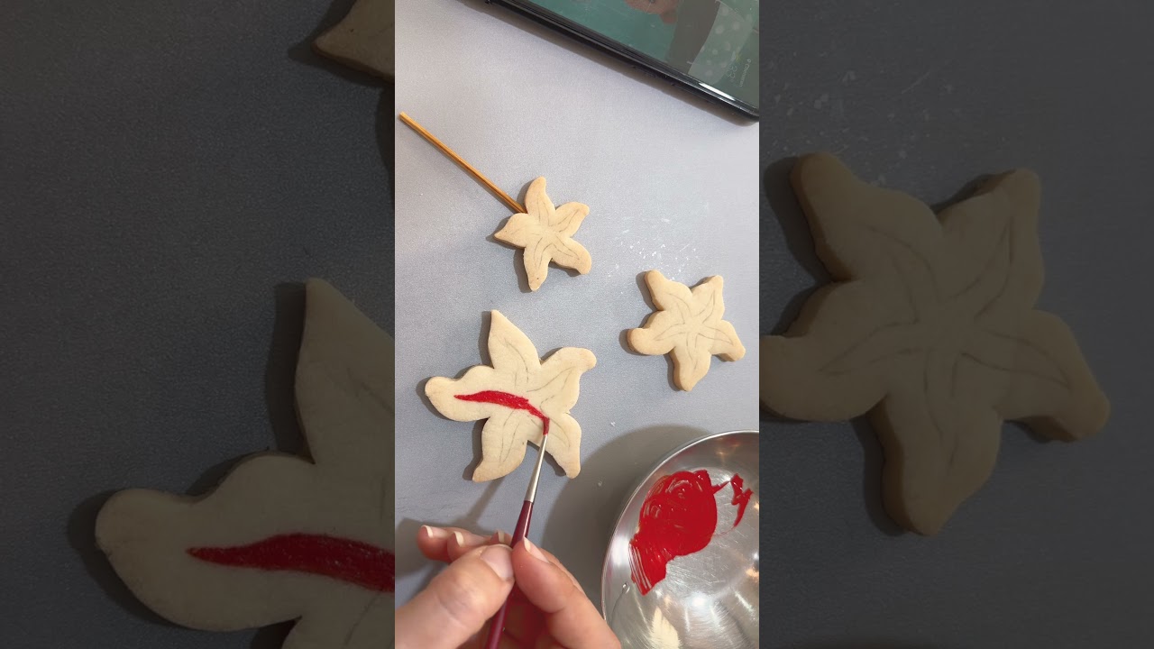 Starfish Cookie getting ready😎 