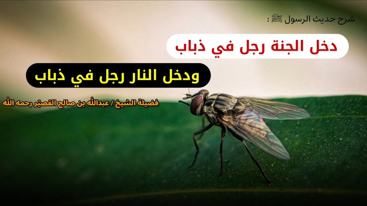 دخل الجنة رجل في ذباب ودخل النار رجل في ذباب | الشيخ عبدالله القصير