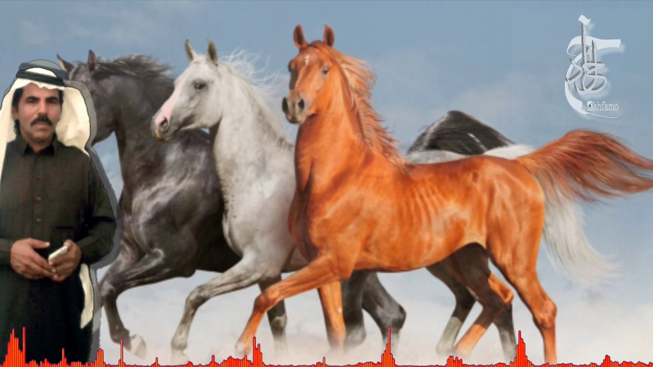 شيله اداء وكلمات عبدالله عيد المرواني