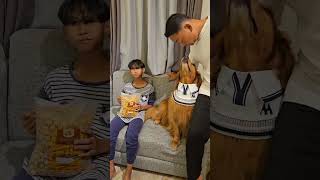 Wooly dan kakak makan enak