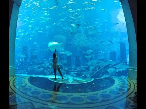 The Lost Chambers Aquarium // Atlantis The Palm Dubai