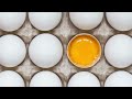 Foods proven to reduce cortisol