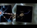 Neurotransmitters animation