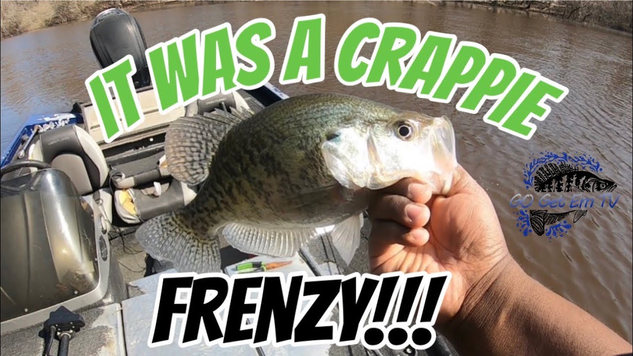 Безумное поедание окуня!