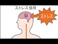 現役ヤクザ黄門組当主筆頭の24時間耐久APEX