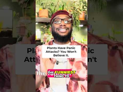 Hilarious Plant Moments: You Won’t Believe This!!