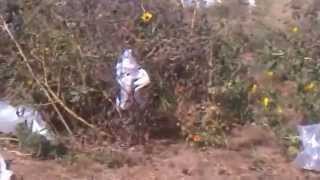Details Plastic Bags Corpus Christi News