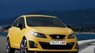 SEAT Ibiza IV Cupra 2009 хэтчбек