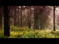 Relaxing Slavic Fantasy Music Mix - Calm + Forest Sounds - PAGAN SPRING