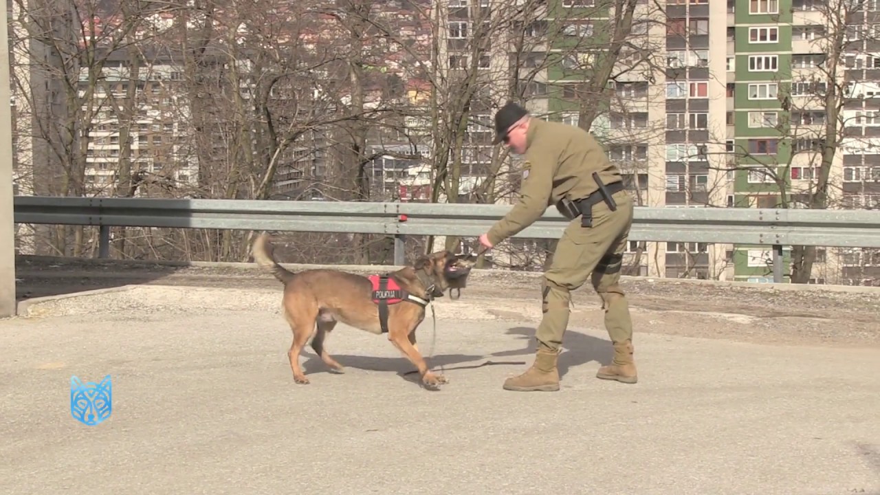 SPECIJALNA POLICIJSKA JEDINICA FUP - POSLUŠNOST