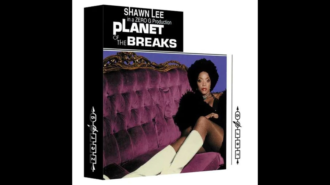 Shawn Lee - Funky Monkey