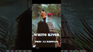 (FREE) R&B Type Beat x Guitar Afro R&B Instrumental 2023 "White River"