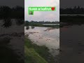 al kafirun #sehar #viral