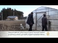 اليابان تسمح تدريجياً بعودة السكان
