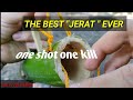 TUTORIAL MEMBUAT JERAT TUPAI PALING MUDAH / TRADISIONAL / PASTI KENA.. Squirrel trap