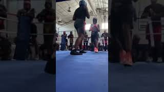 Lil Sho, Gloves not Guns 2022