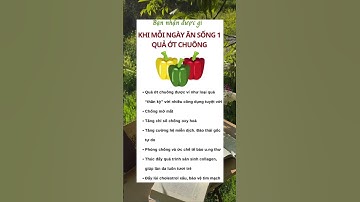 Bạn nhận được gì khi mỗi ngày ăn sống 1 quả ớt chuông ?  #meohay  #tet2024 #meovatcuocsong #xuhuong